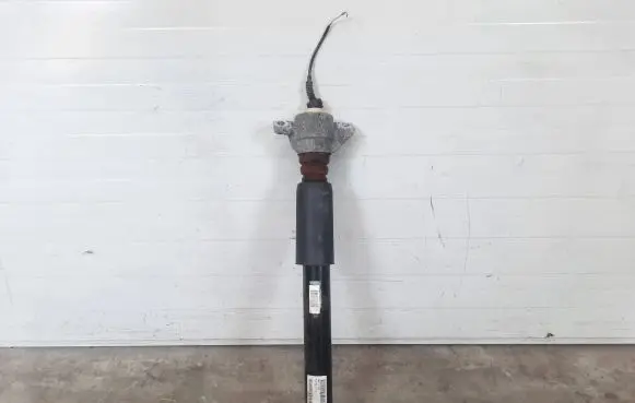 Porsche Macan (95B) Rear shock absorber/damper 95B513035F 462400010417