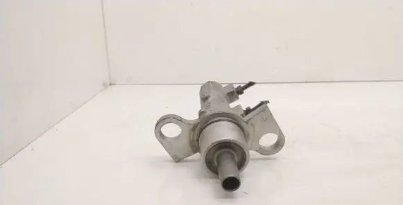 Volkswagen PASSAT B5 Master brake cylinder 161973