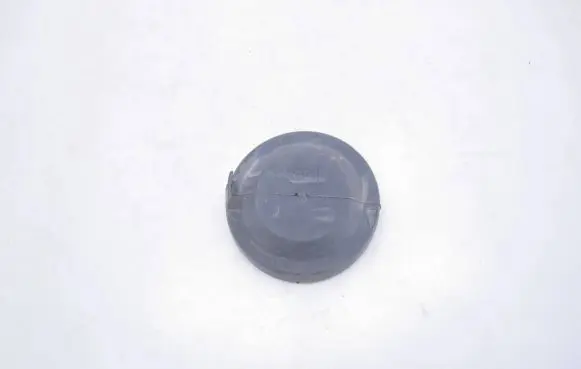 Volkswagen Golf VII Headlight/headlamp dust cover 89004031