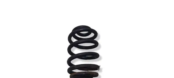 BMW X3 E83 Rear coil spring