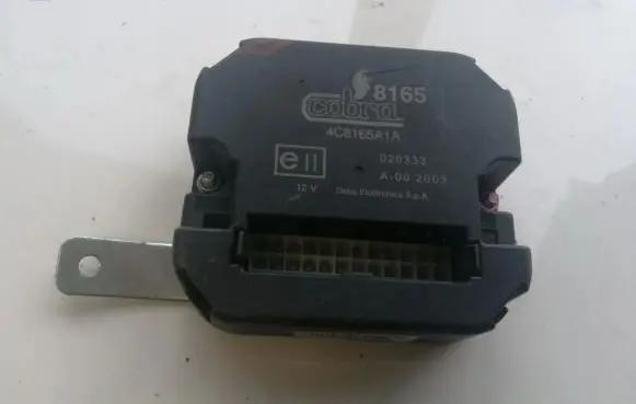 Mitsubishi Pajero Other control units/modules 4C8165A1A 8165