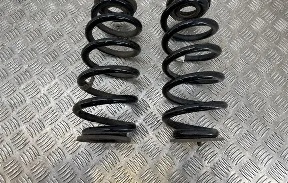 Volvo XC40 Rear coil spring 32246658