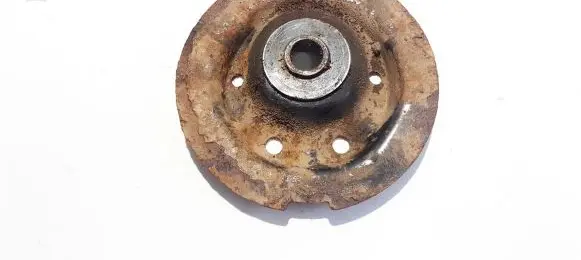 Coil spring mount