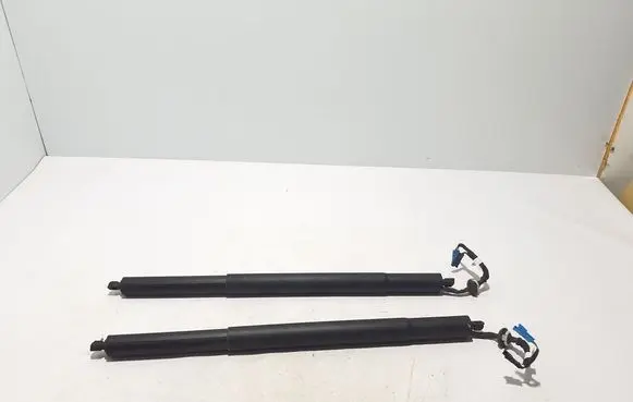 Tailgate strut