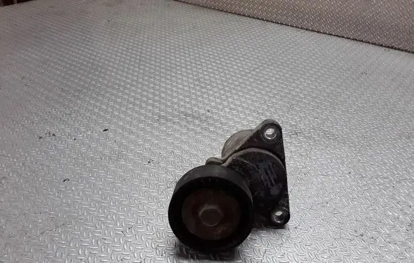 Hyundai Matrix Generator/alternator belt tensioner 2528127