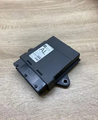 Opel Signum Door control unit/module 13111456