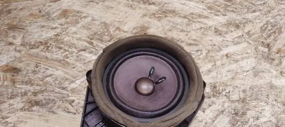 Cadillac SRX Rear door speaker 20935387