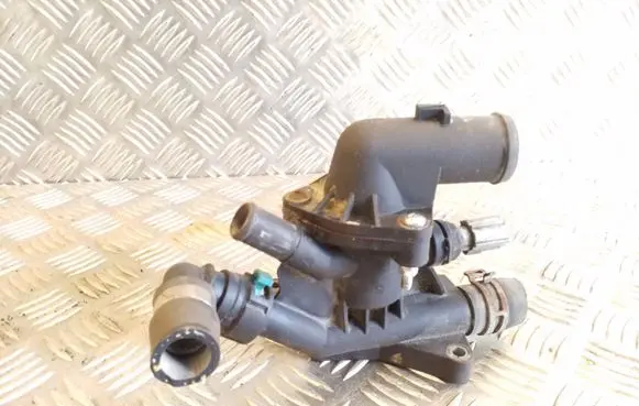 Thermostat/thermostat housing