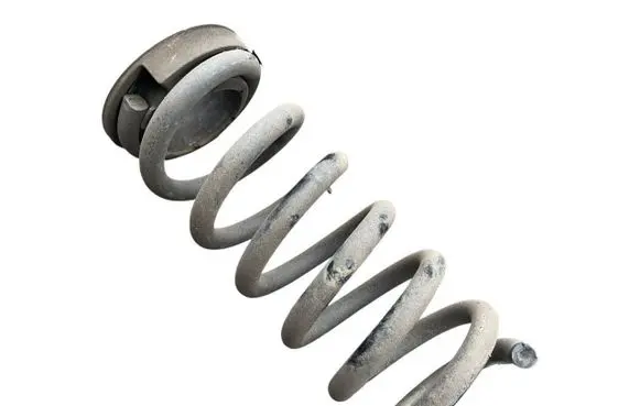 Rear coil spring