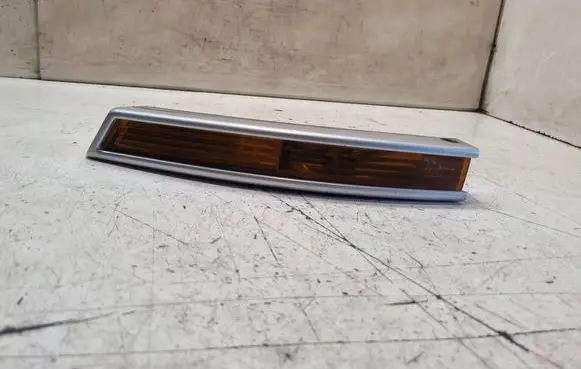 Volkswagen PASSAT B6 Front indicator light 3C0953041C