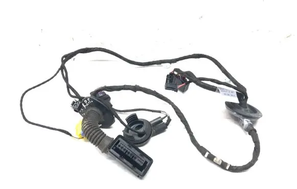 Audi A5 Sportback 8TA Front door wiring loom 8T8971030AM
