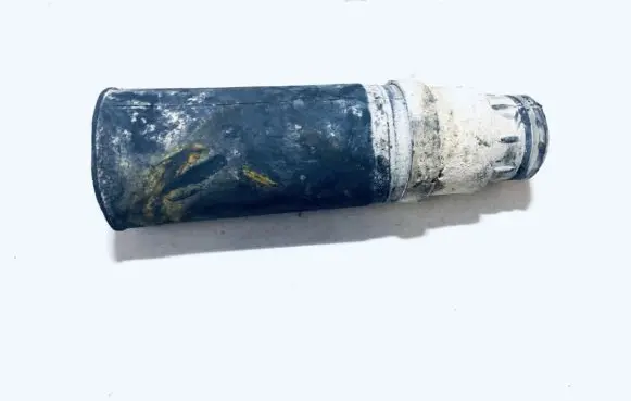 Peugeot 406 Front shock absorber dust cover boot 9615855580