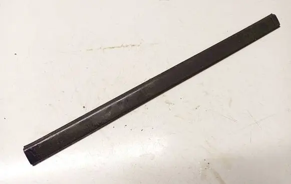Honda Accord Rear door glass trim molding 