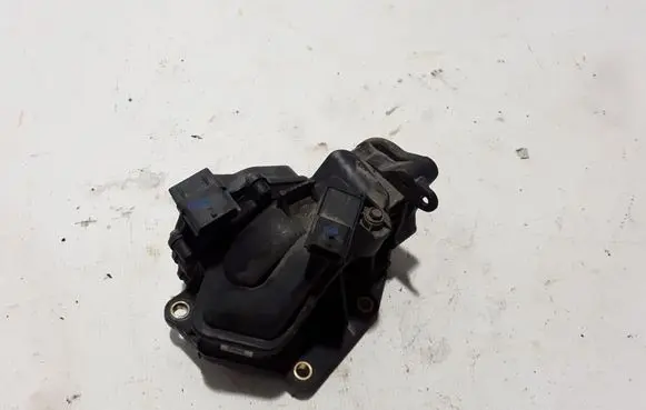 Renault Trafic III (X82) Throttle valve A2C53350932