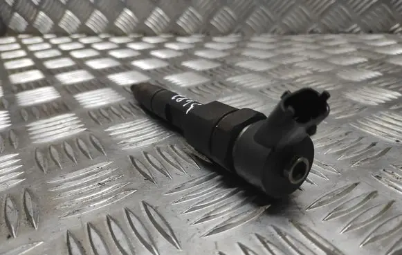 Renault Megane II Fuel injector 8200100272 0445110110A