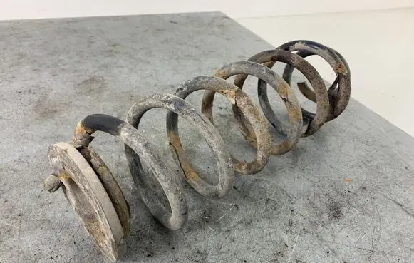Volkswagen PASSAT B6 Rear coil spring