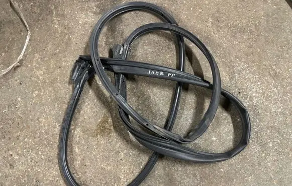 Nissan Juke II F16 Rubber seal front door (on door) 