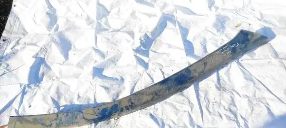 Peugeot 607 Windshield trim 