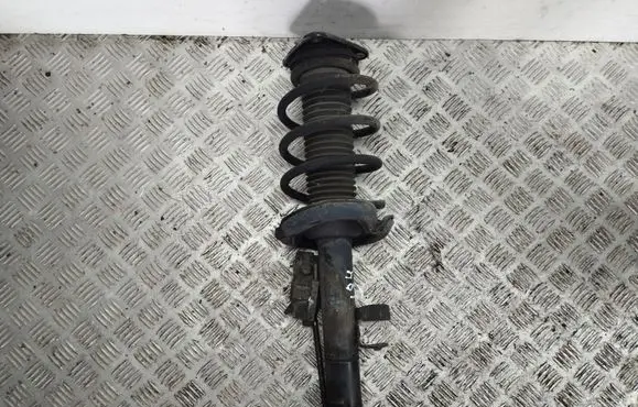 Ford Focus Front shock absorber with coil spring