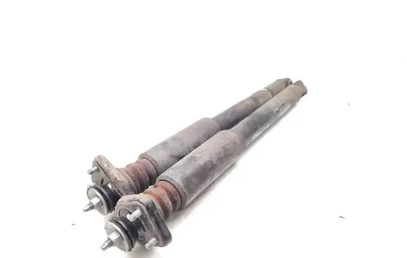 Rear shock absorber/damper