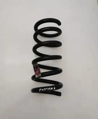 Ford Mustang VI Rear coil spring FR3C5560HC