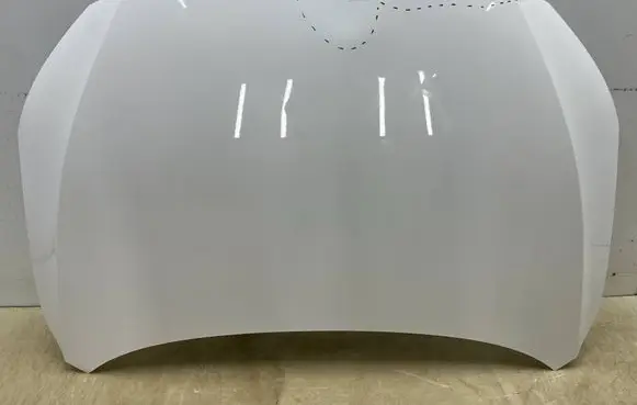 Engine bonnet/hood