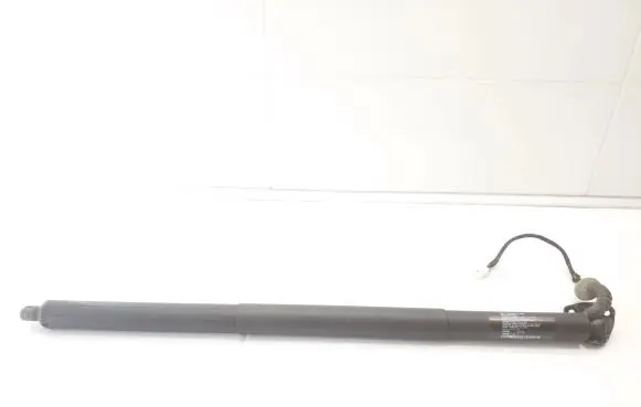 Tailgate/trunk strut/damper