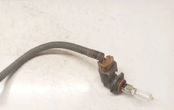 Toyota RAV 4 (XA30) Rear tail light bulb 
