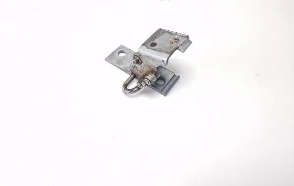 Front door lower hinge