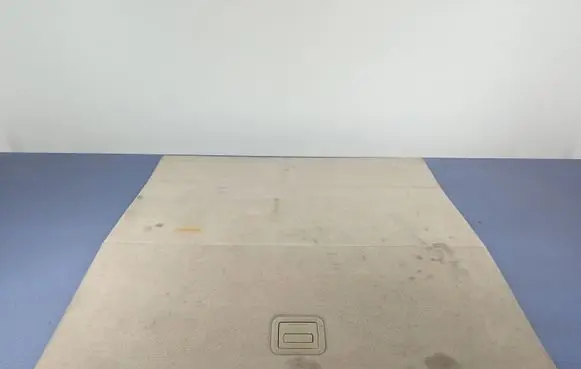 Renault Laguna III Front floor carpet liner 849020021R