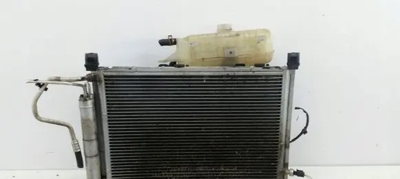 Renault Clio III Radiator set 7700425842A