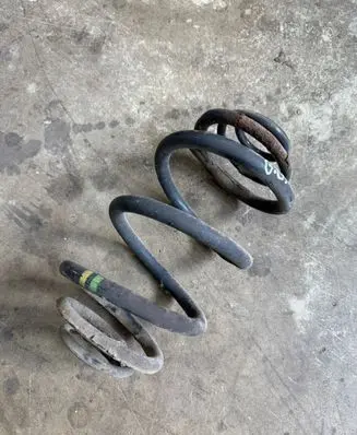 Rear coil spring