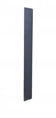 Ford Focus Front sill trim cover