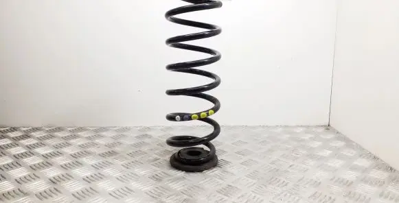 Volkswagen Tiguan Rear coil spring