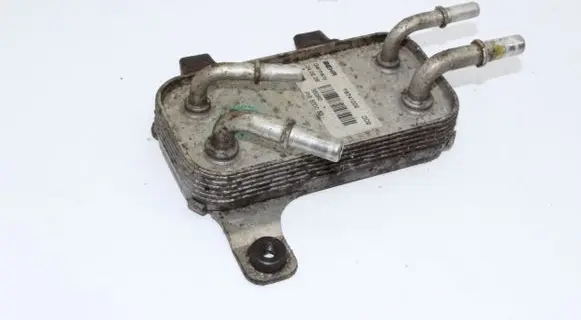 Land Rover Range Rover Sport L320 Fuel cooler (radiator) F8741002