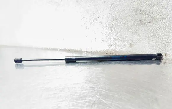 Opel Insignia A Tailgate/trunk strut/damper 13321298 315005777 0226020660N