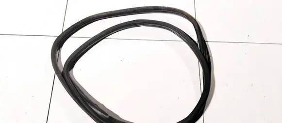 Citroen Xsara Picasso Rubber seal front coupe door 