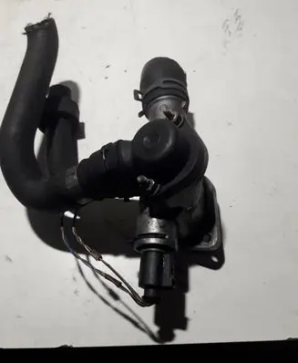 Thermostat/thermostat housing