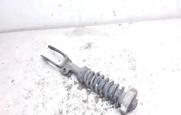 Front shock absorber with coil spring