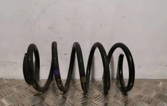Hyundai Santa Fe Rear coil spring