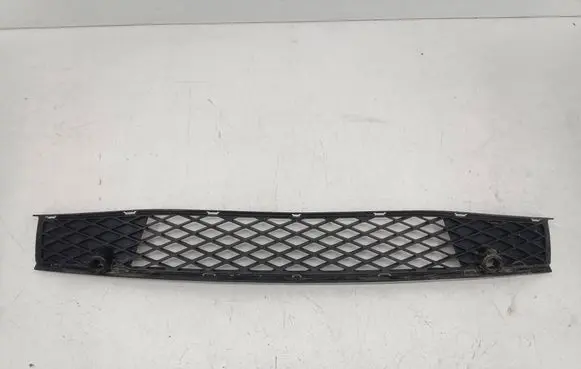 BMW X3 E83 Front bumper lower grill 5110305014 5110305103