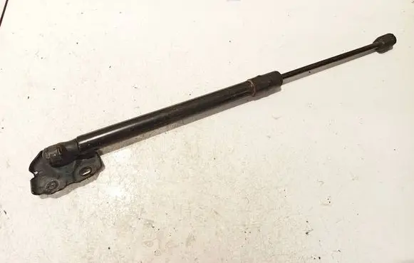 Tailgate/trunk strut/damper