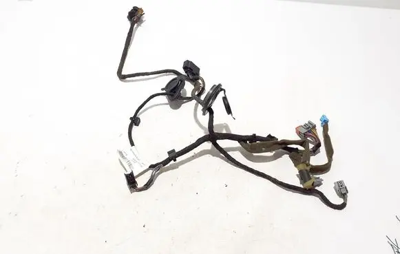 Other wiring loom
