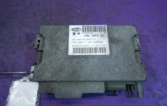 Engine control unit/module ECU