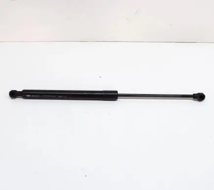 Renault Zoe Tailgate/trunk strut/damper 904502915R