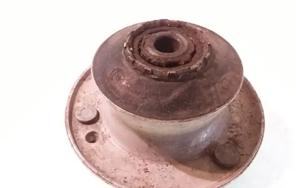 Coil spring mount