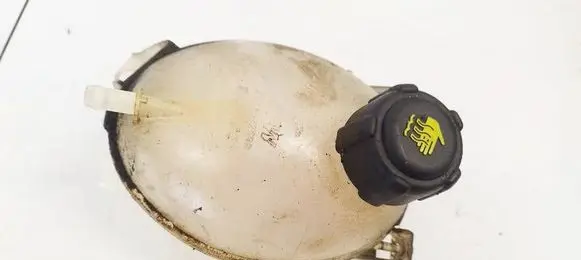 Dacia Sandero Coolant expansion tank/reservoir 217107259R