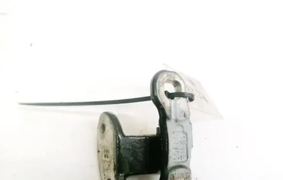 Rear door lower hinge