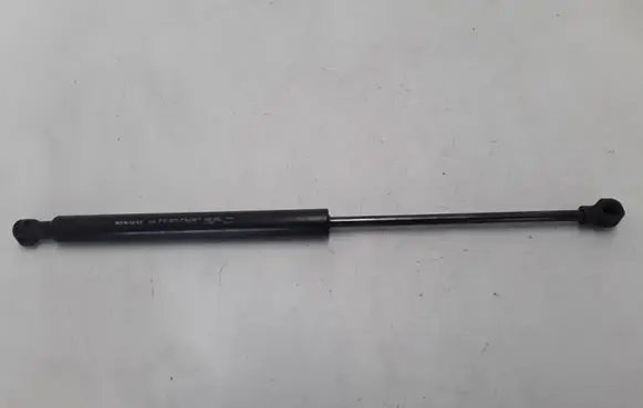 Tailgate strut