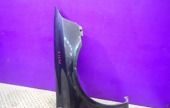 Renault Laguna II Fender